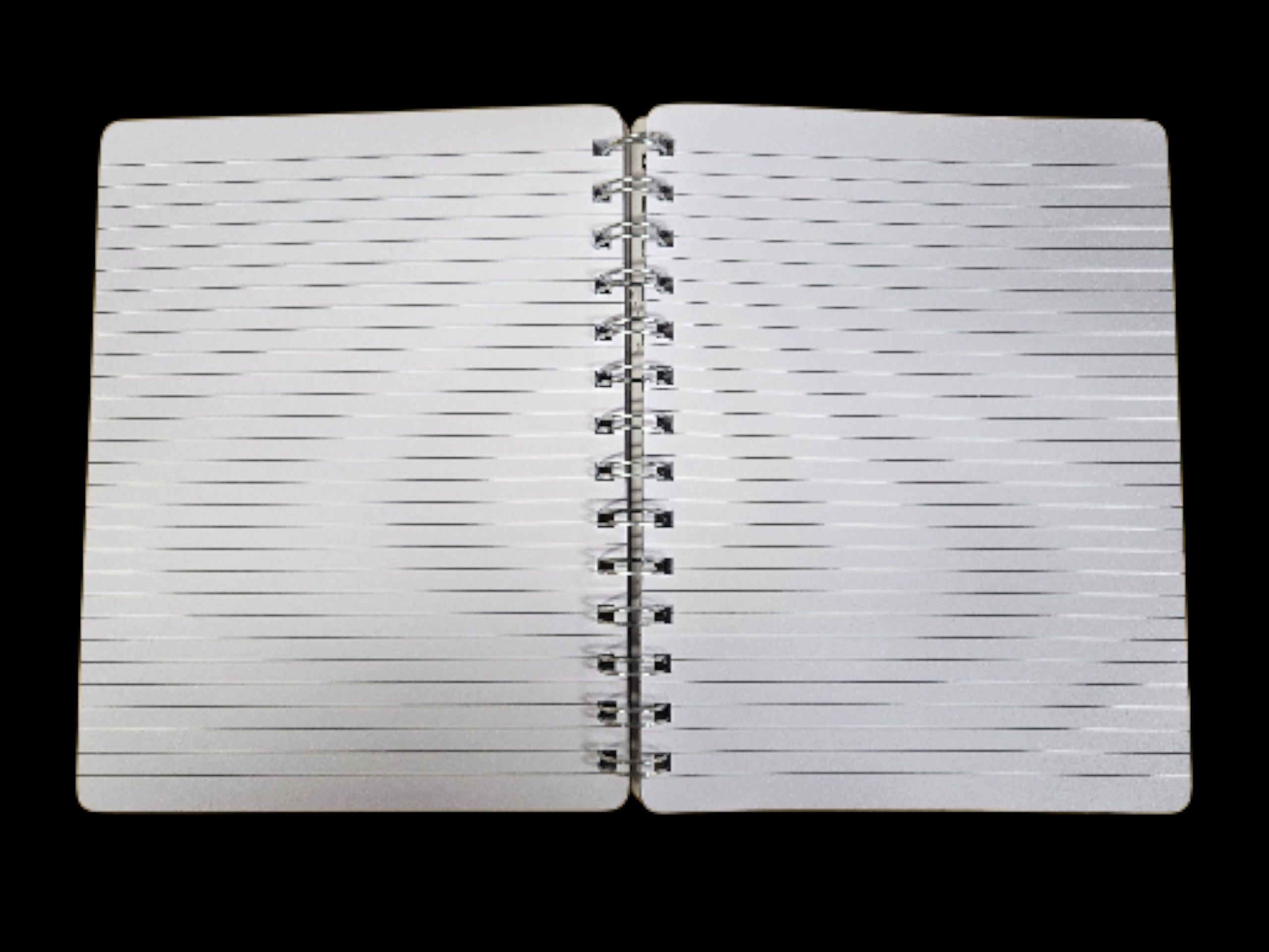 Sunflower Bundle - Image 4