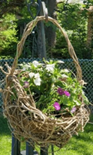 sustainability_creative_basket